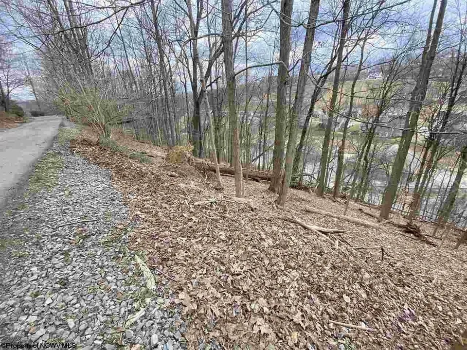For Sale Hickory Ridge Rd, WV 26508