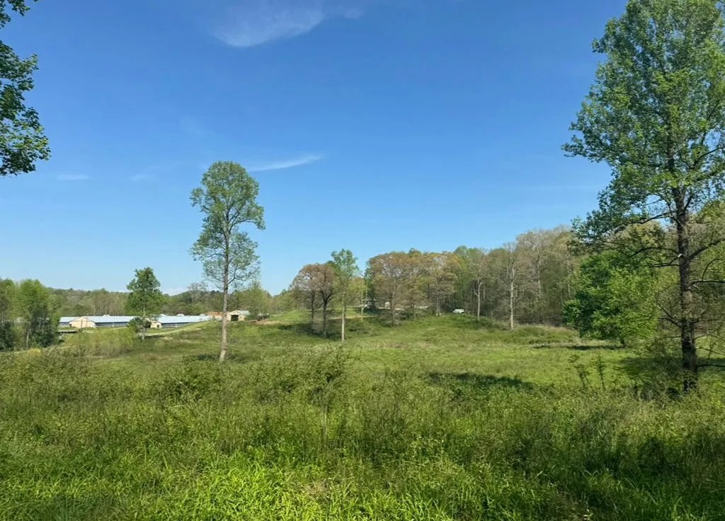 1211 Old Clear Creek Rd, Ellijay, GA 30536