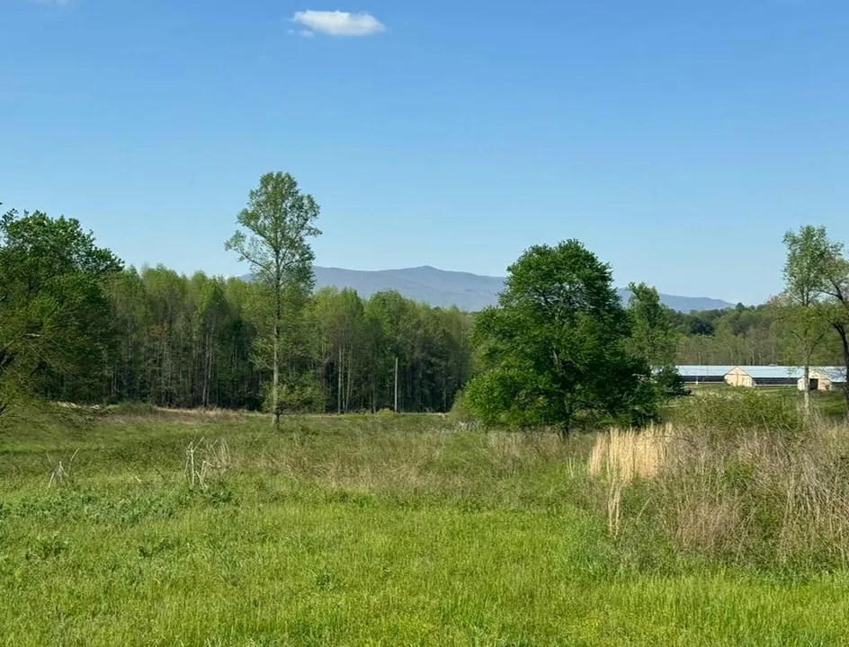 1211 Old Clear Creek Rd, Ellijay, GA 30536