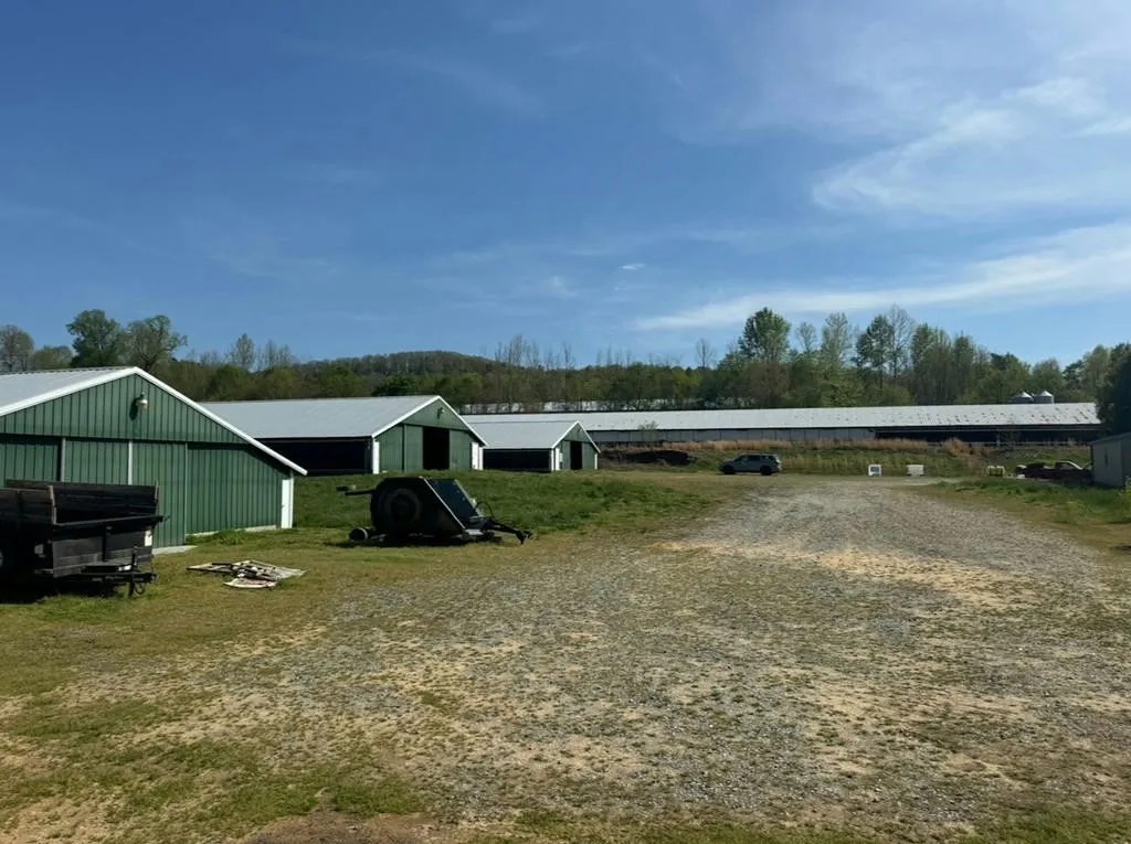 1211 Old Clear Creek Rd, Ellijay, GA 30536