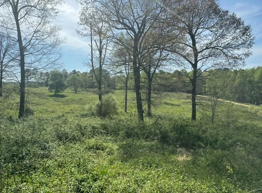 1211 Old Clear Creek Rd, Ellijay, GA 30536