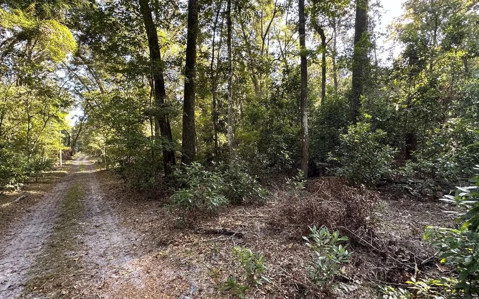 NE 125th Ln, Branford, FL 32008