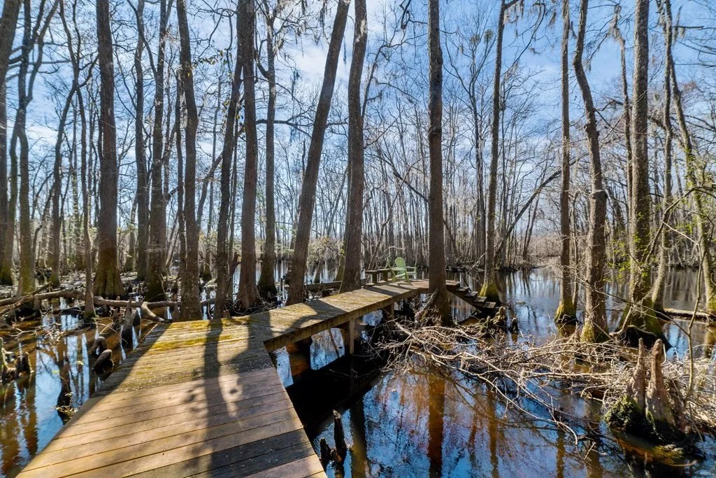 1572 Lee Blvd, Orangeburg, SC 29118