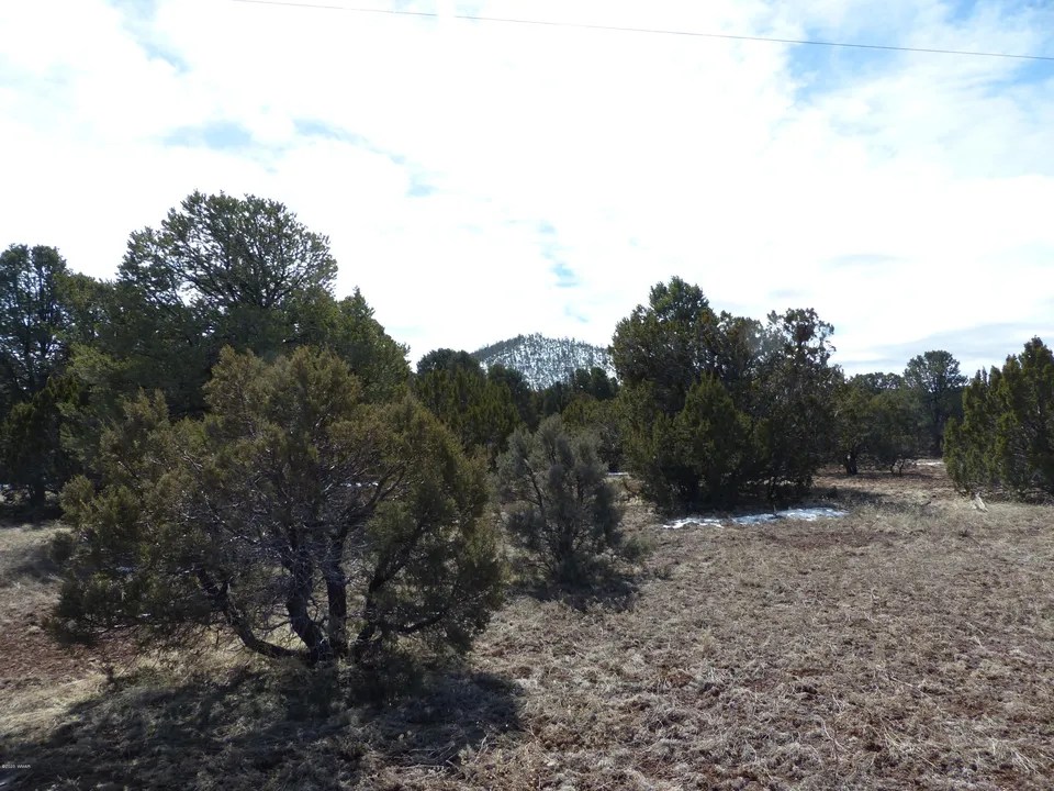 County Road 3167 N, Vernon, AZ 85940