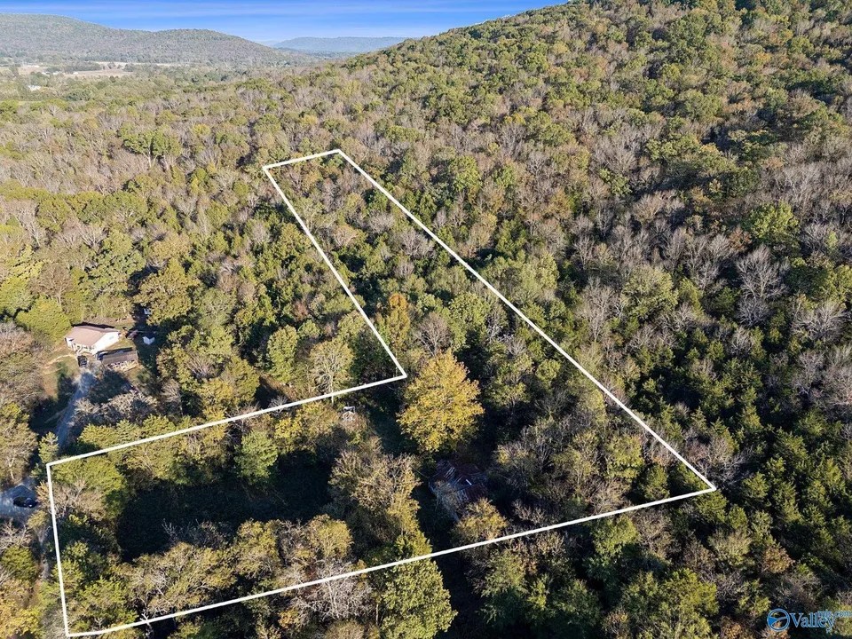 4 Acres County Road 554, Hollywood, AL 35752 40,000