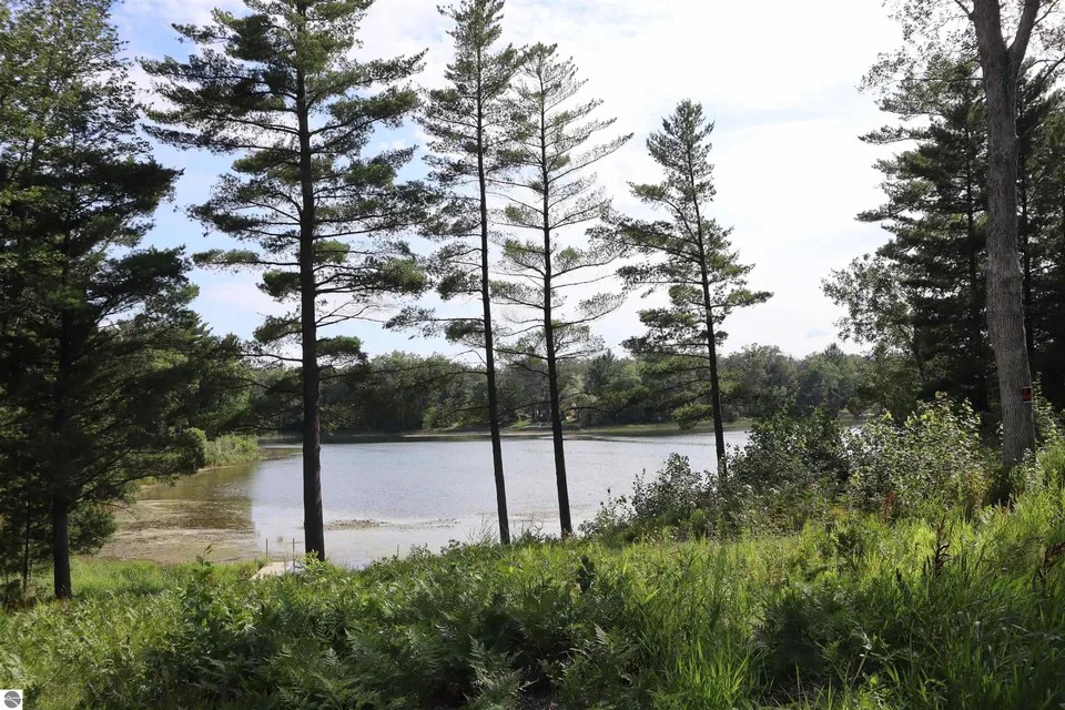 13114 S Lake Dr, Idlewild, MI 49642