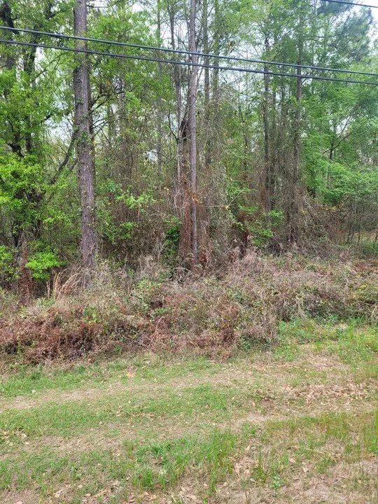 For Sale Faceville Highway/River Chase Subd Lot 1, Bainbridge, GA