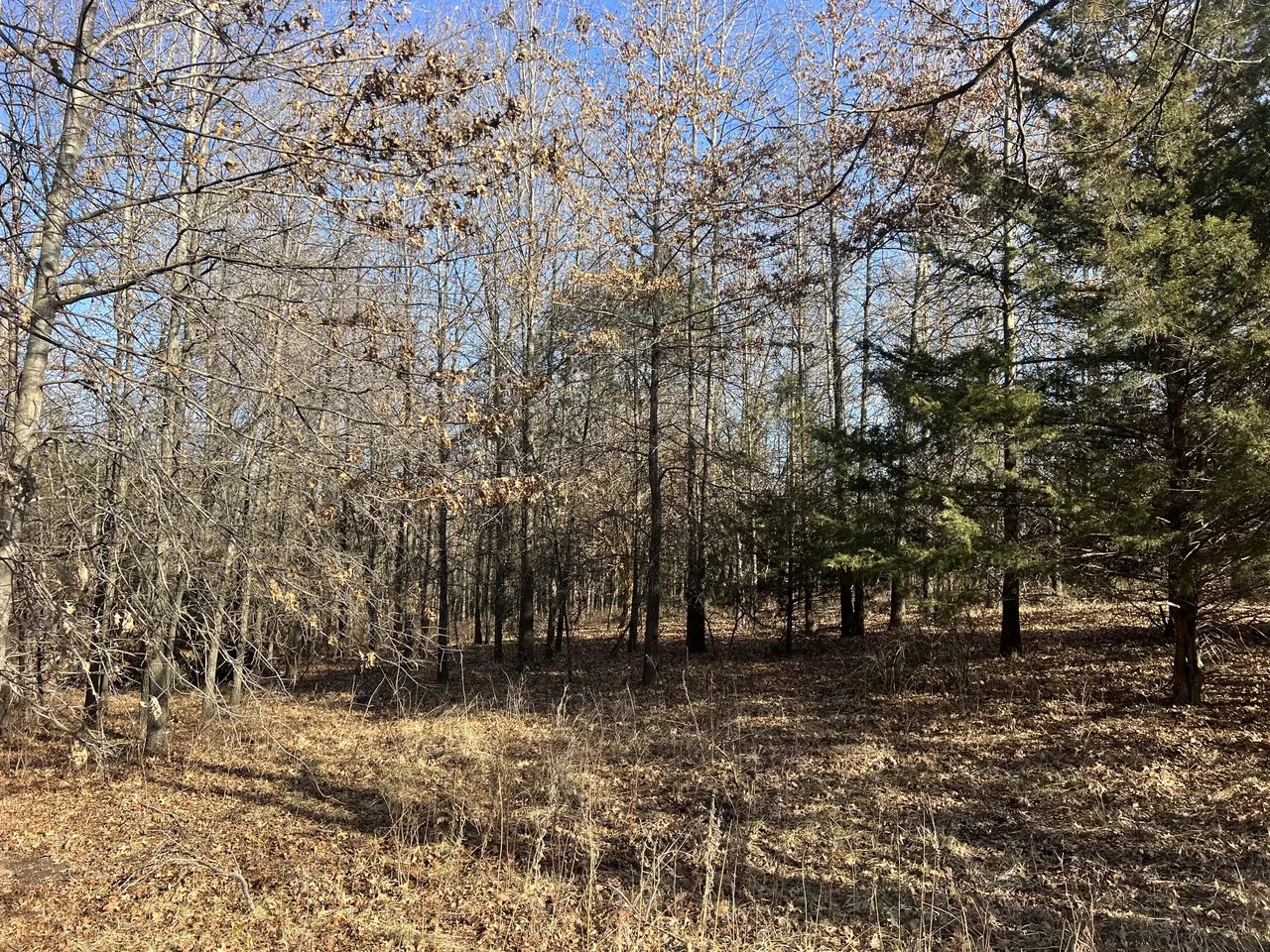 For Sale 7488 NW Highway B, Urich, MO 64788