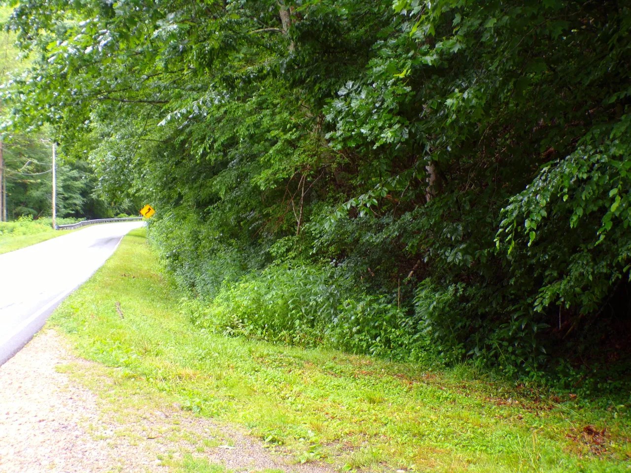 Tiger Creek Rd, Roan Mountain, TN 37687 85,000