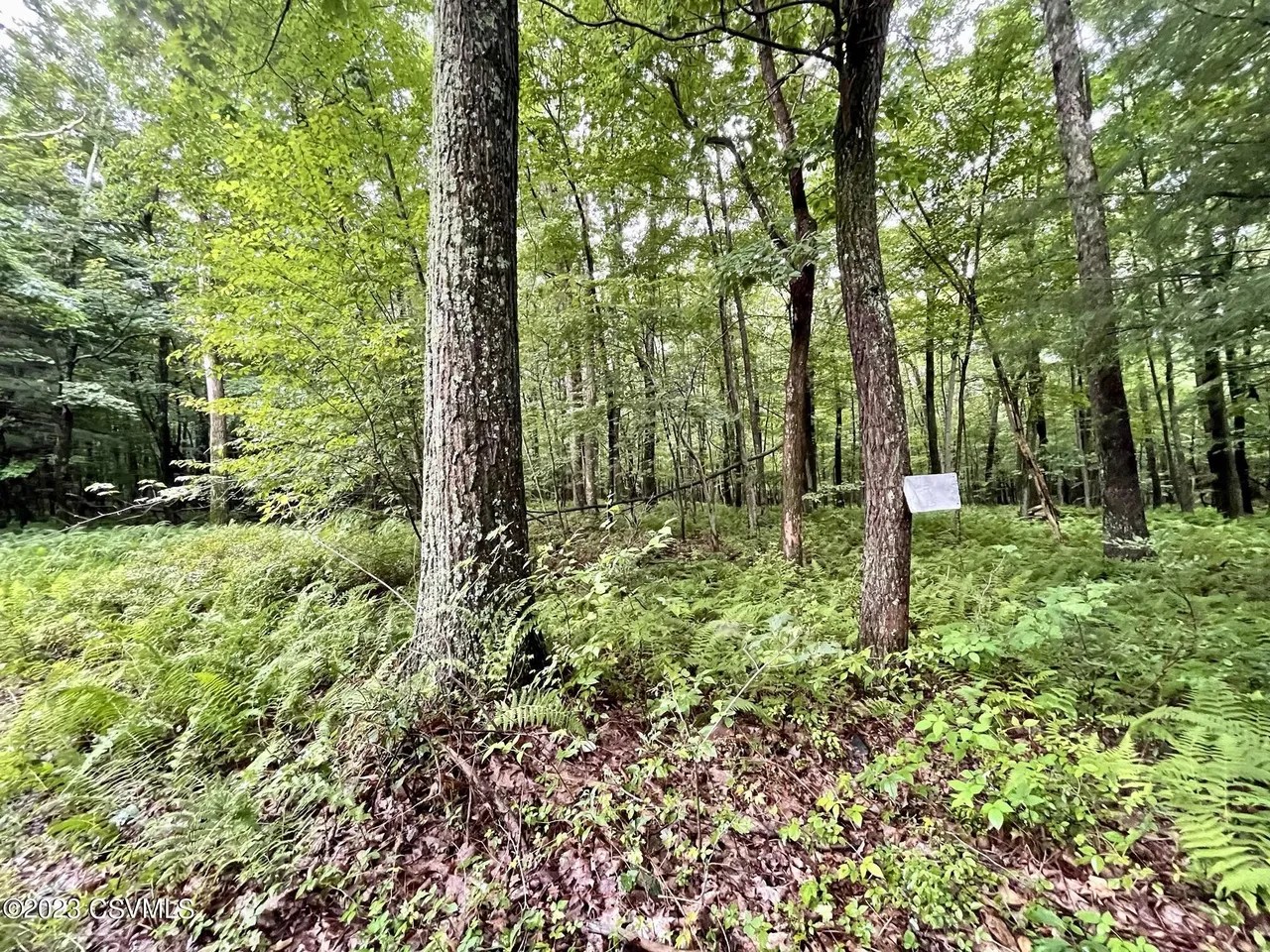 For Sale Mine Gap Rd, Catawissa, PA 17820
