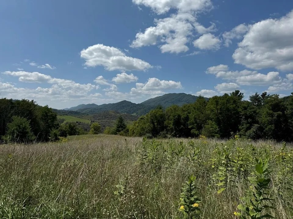 For Sale 1667 Bandy Rd Lots 62 & 63 a, Cedar Bluff, VA 24630 realtor