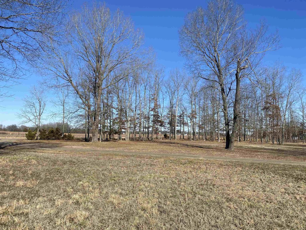 1501 Michie Pebble Hill Rd, Stantonville, TN 38379