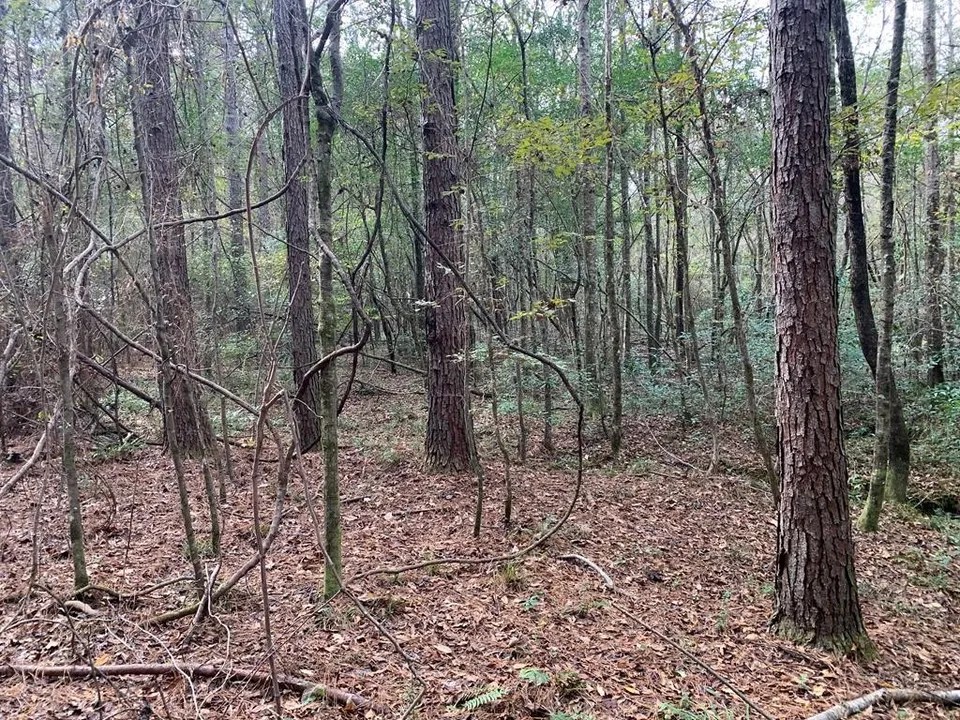 For Sale Jordan Dr, Smithdale, MS 39664