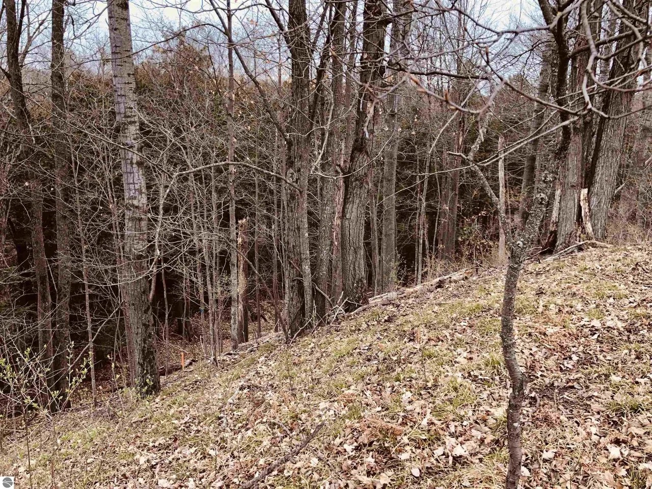 G Tomasek Rd Parcel G, Thompsonville, MI 49683