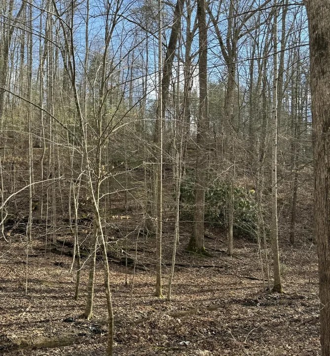 Pinnacle Vis Lot 27, Gatlinburg, TN 37738 150,000