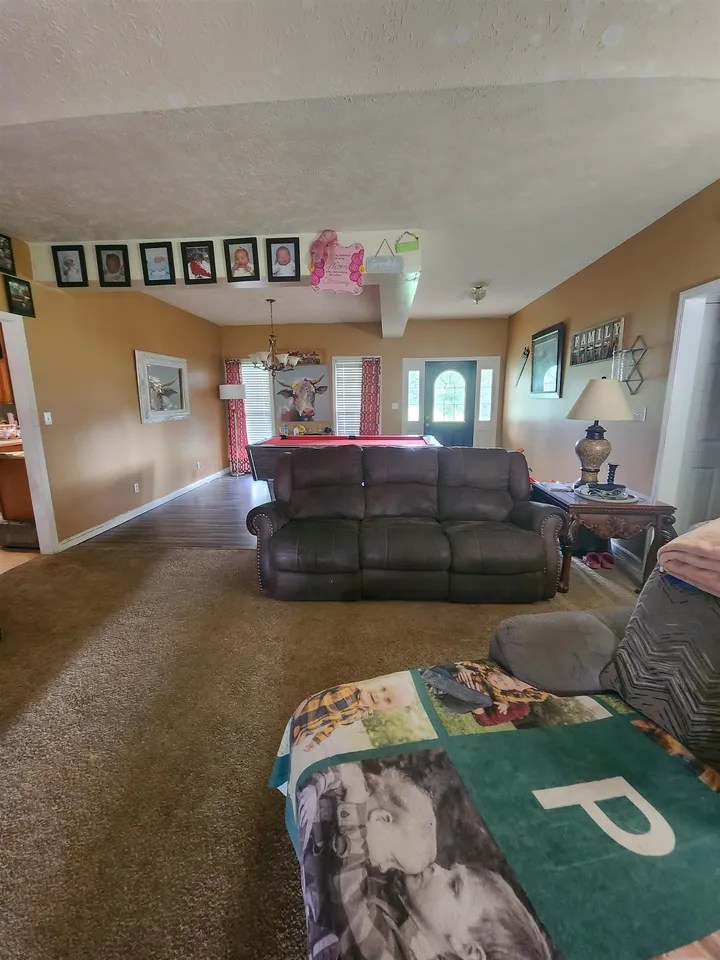 413 Tulu Ln, Michie, TN 38357