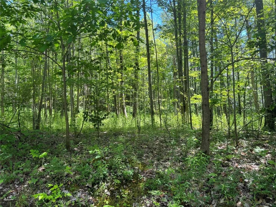 195 Corson Rd, Maine, NY 13802