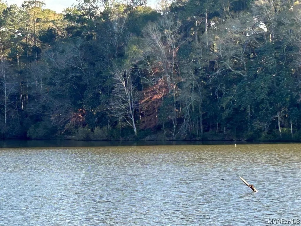 102 and 104 High Bluff Dr, Enterprise, AL 36330