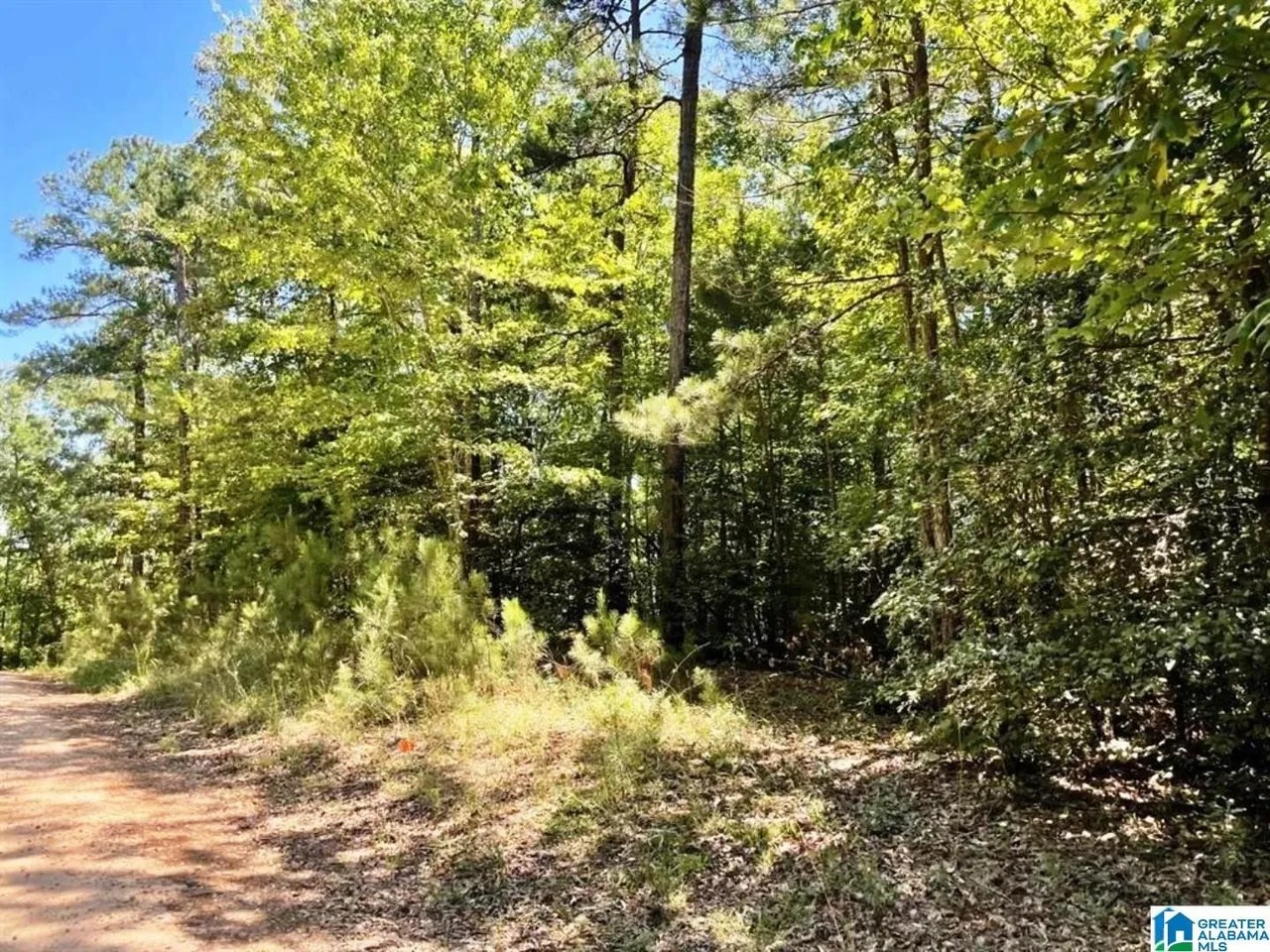 Deerfield 82 Acres Dr Lot 5, Wedowee, AL 36278