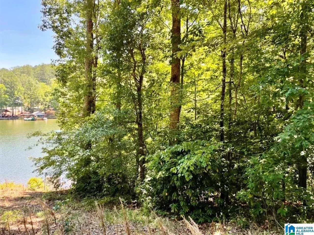 Deerfield 82 Acres Dr Lot 5, Wedowee, AL 36278