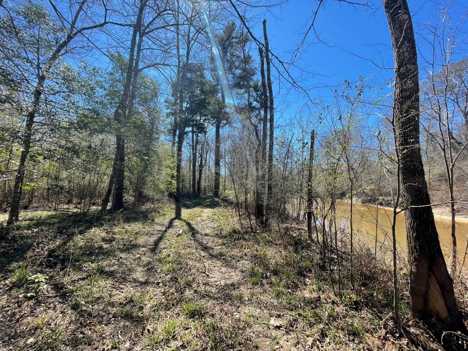 Crenshaw County, AL Real Estate & Homes for Sale