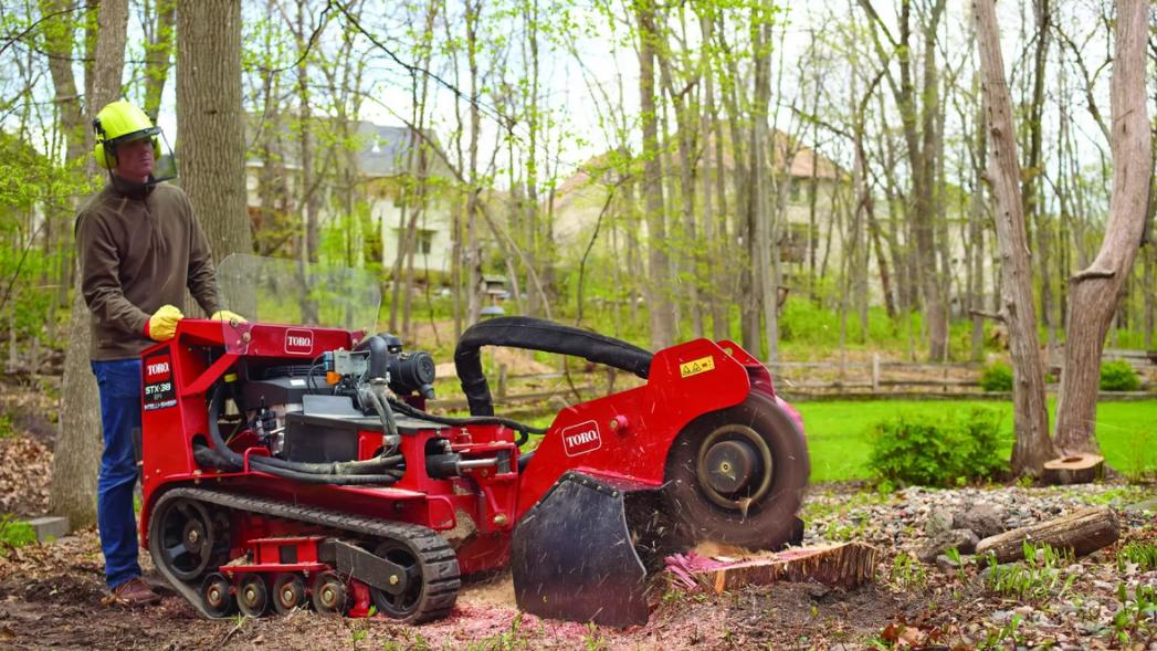 Stump Grinding Gold Coast Best Stump Grinding Services 2021