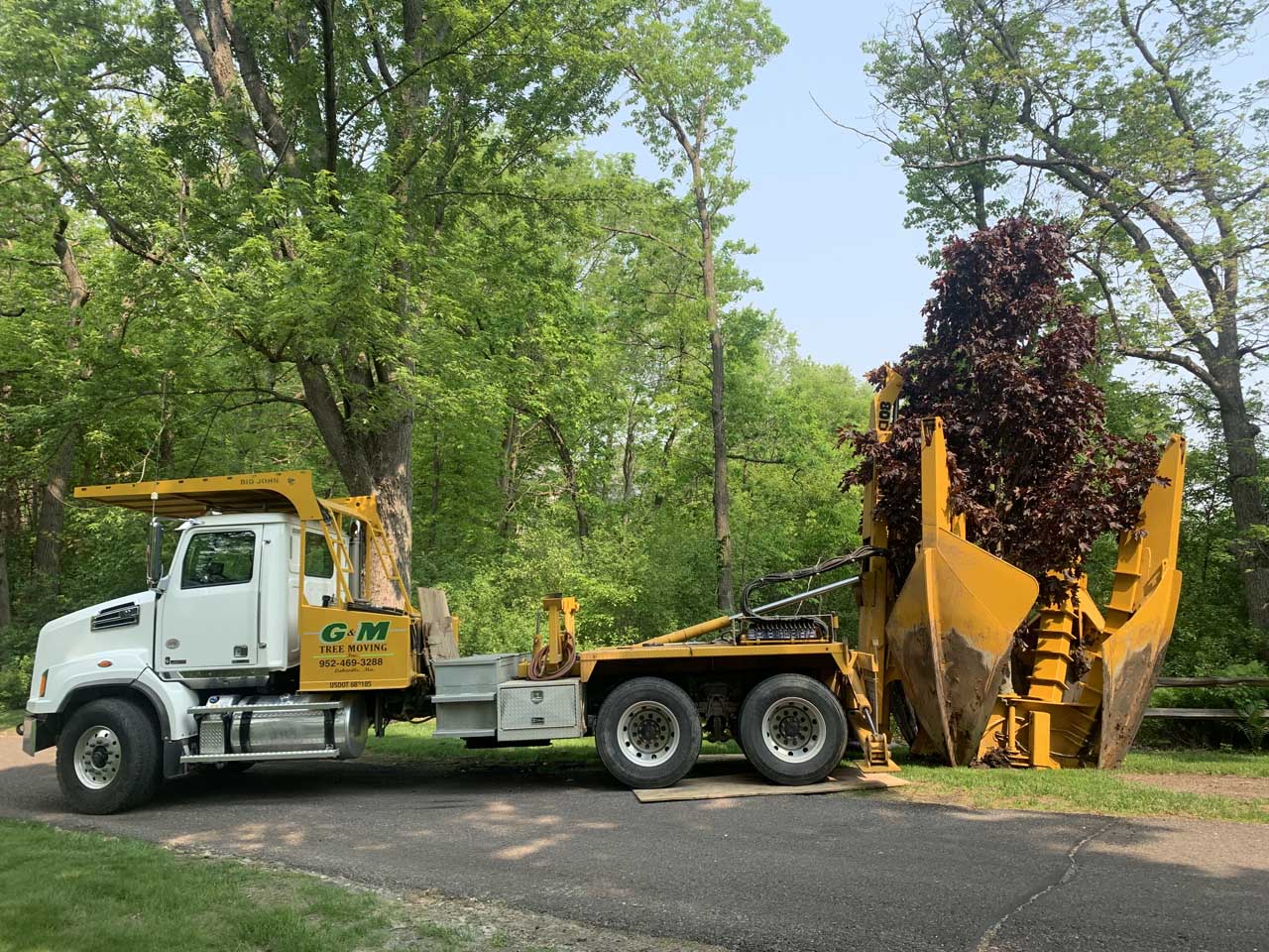Tree Relocation Services Best Tree Relocation Services 2022