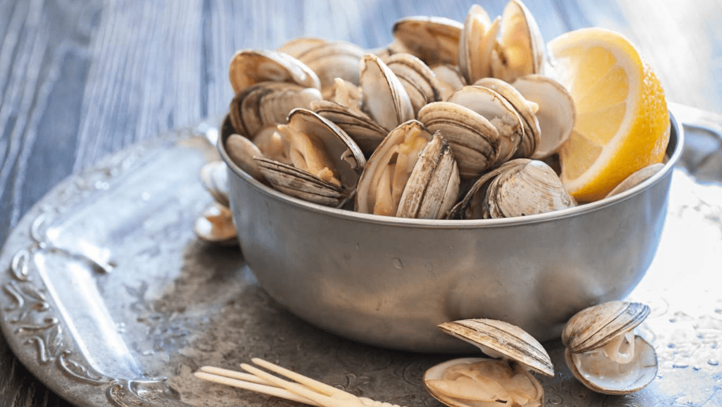 Amazing Health Benefits of Eating Clams in New Zealand