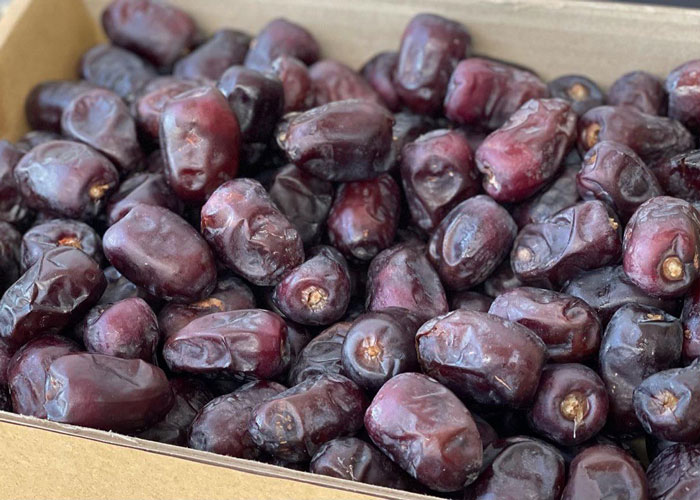 Agro Products Export Management Company