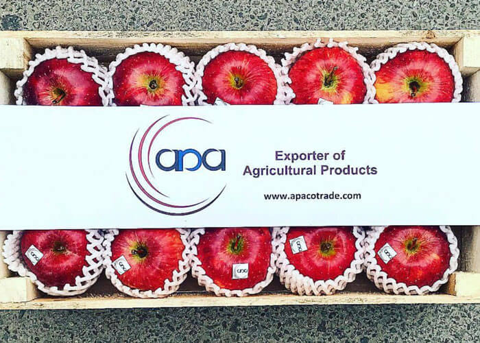 Agro Products Export Management Company