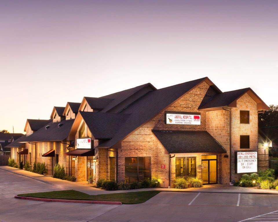 Exceptional Veterinary Care Katy TX