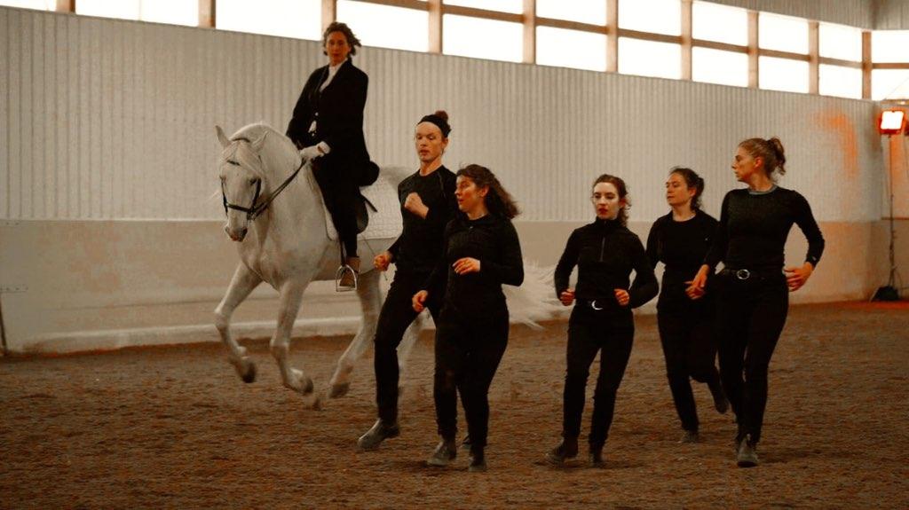 Association for the Protection of the Art of Horsemanship in America