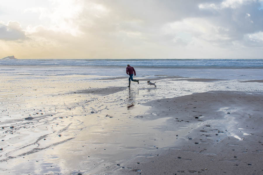Weekend in Cornwall Dog Friendly Beaches, Wine Tasting, and more
