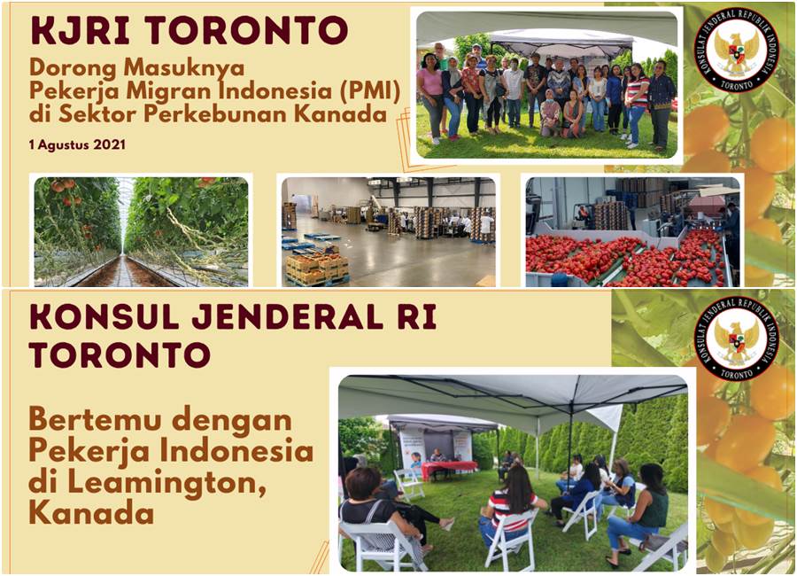 Peluang Terbuka Lebar, Pemerintah Mendorong PMI Masuk ke Toronto
