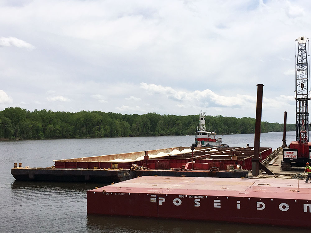 Photo Gallery Apalachee Salt