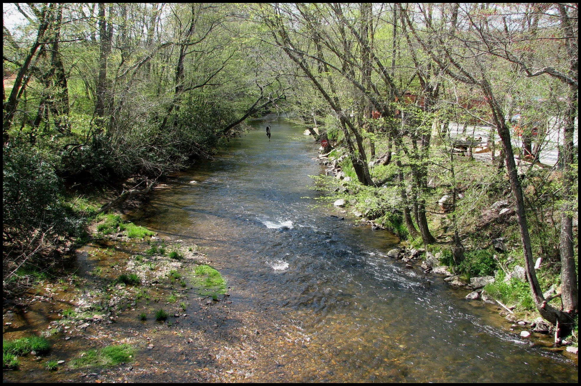 Residents near Track Rock Gap in Mountains form archaeological