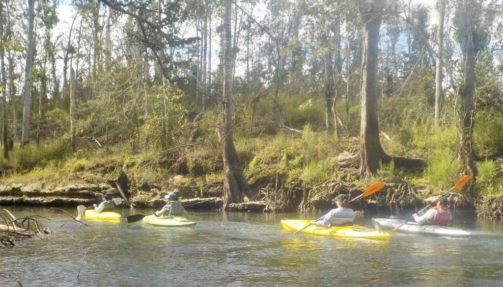 Chipola River Kayaking Apalachicola Riverkeeper