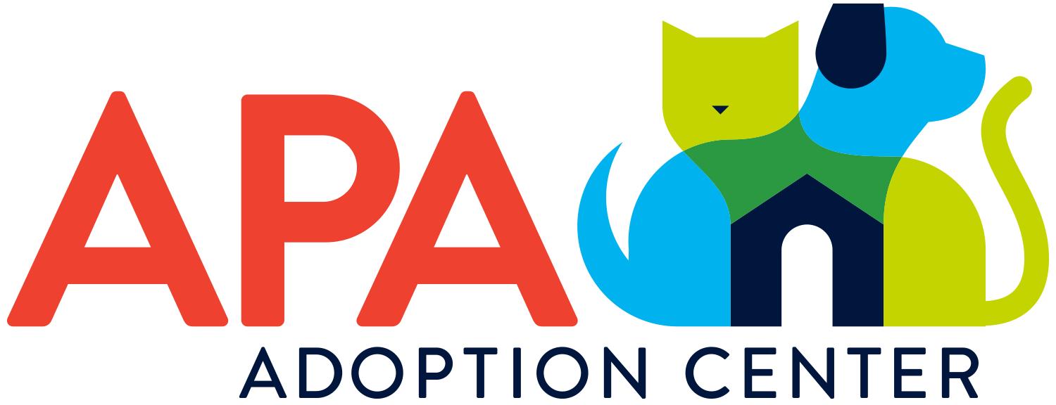 Pet Adoption St Louis County St Louis County Launches Improved Adopt
