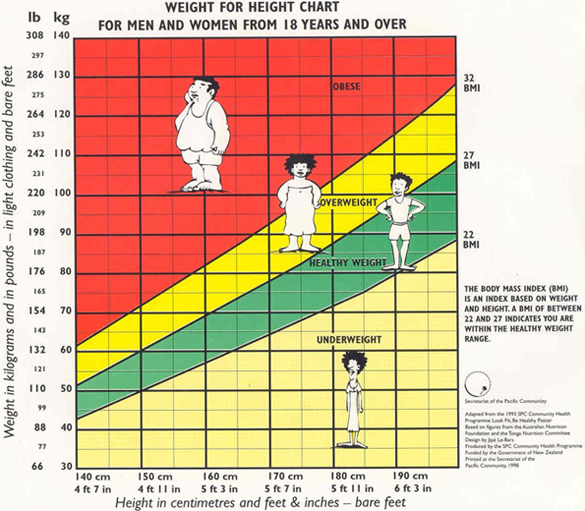Bmi – Apanyangku Brunei