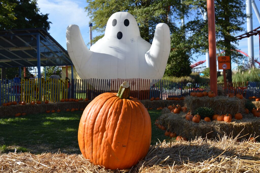 Plan a Trip to Carowinds' Great Pumpkin Fest!