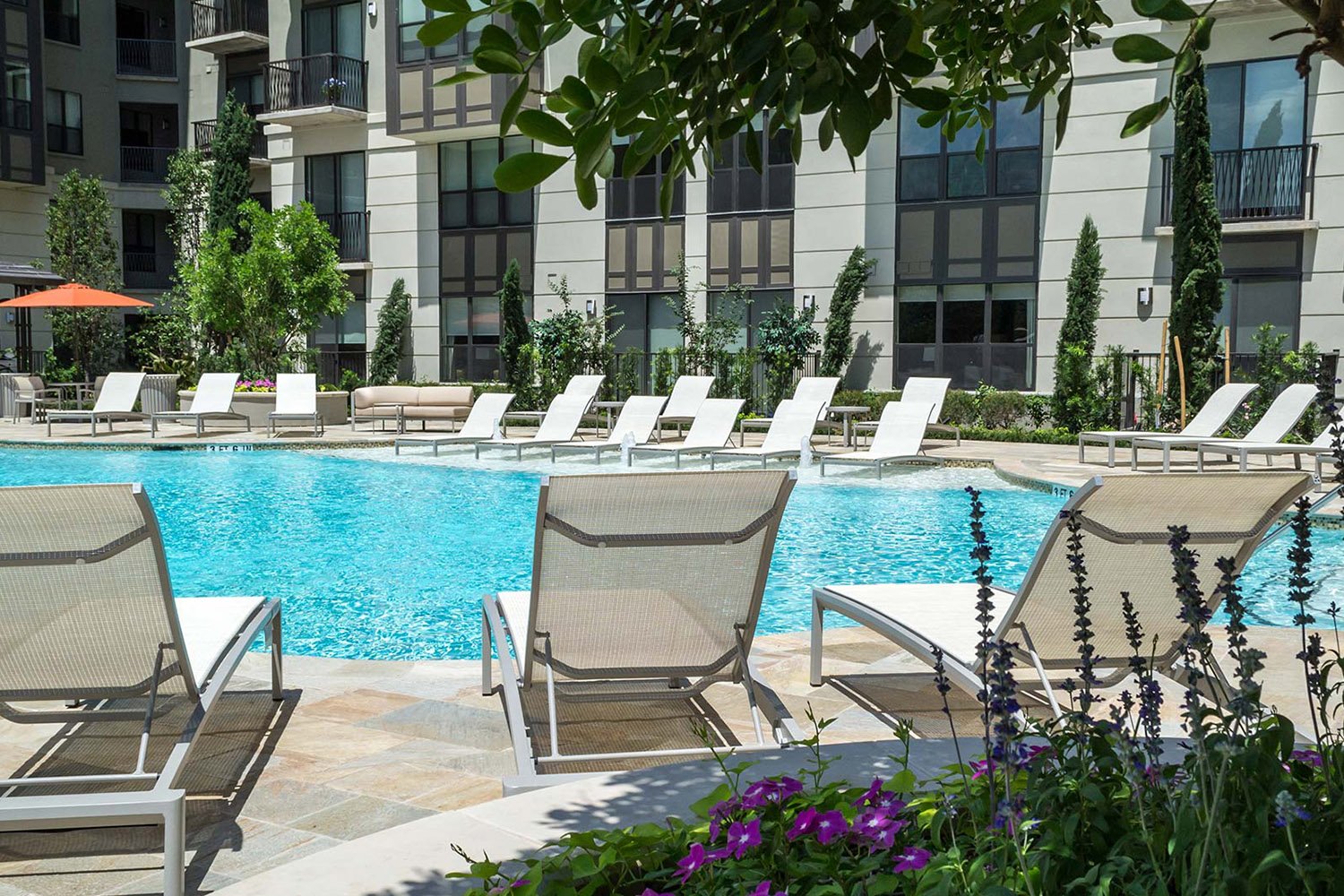 Montrose Luxury Apartment! Up to 8 Weeks FREE! 77006 Houston Apartment Locators with a Free Move