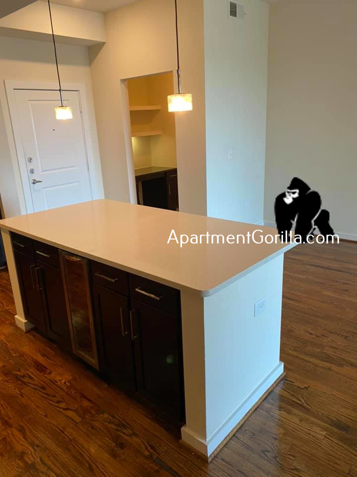 Luxury Downtown Midrise Near Minute Maid Park! 2 Months Free Rent