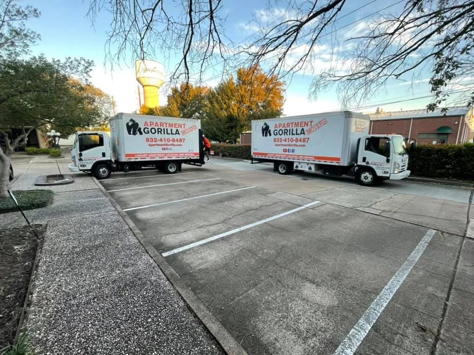 Northwest Houston Apartment Movers Houston Luxury Apartment Movers