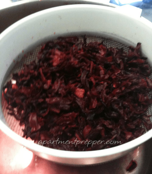 Make Hibiscus Tea from Dried Flowers Apartment Prepper