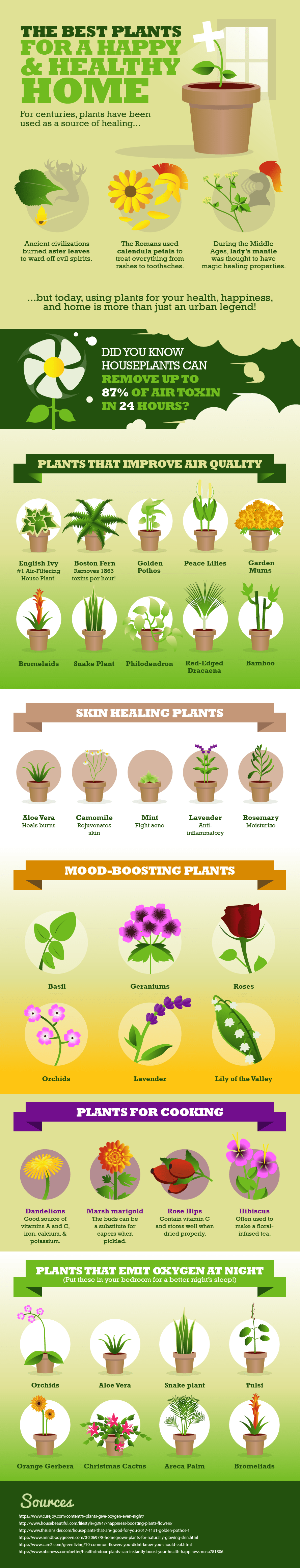 The Best Plants for a Happy and Healthy Home Apartment Prepper