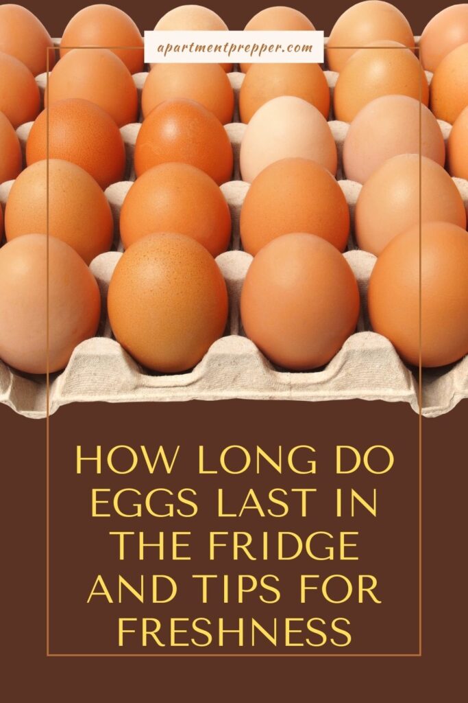 How Long Do Eggs Last in the Fridge and Tips for Freshness Apartment