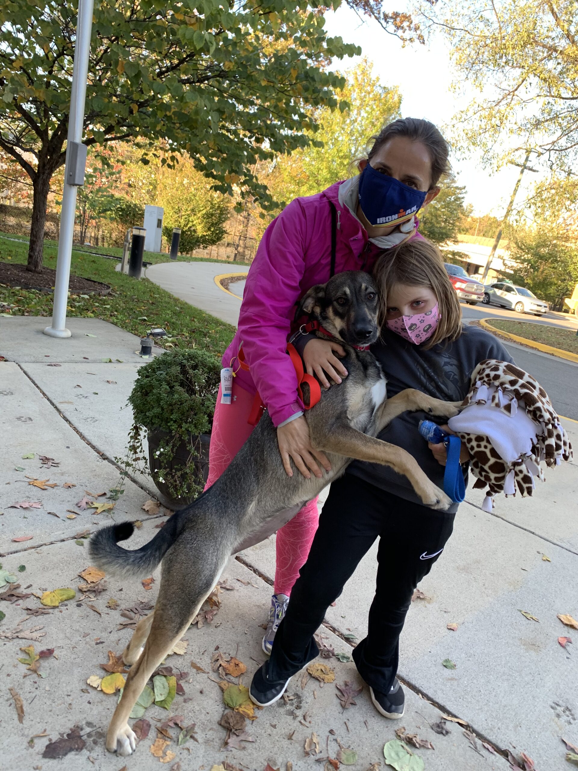 Running with a dog My sports journey