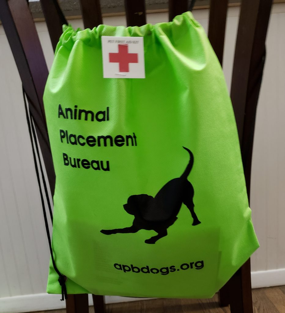 Sale Pet First Aid Kit 28 Animal Placement Bureau