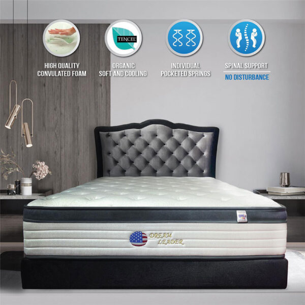 Dream Beds › AP Beddings