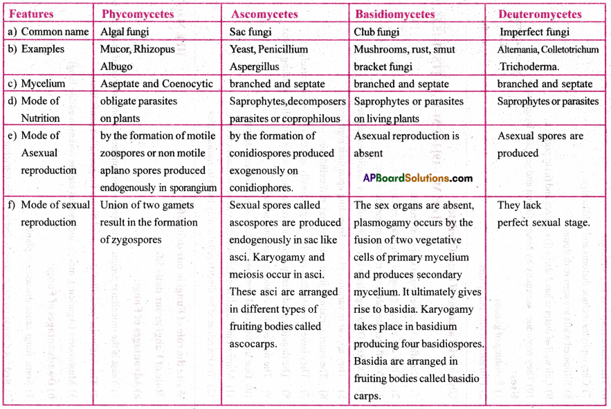 AP Inter 1st Year Botany Important Questions Chapter 2 Biological